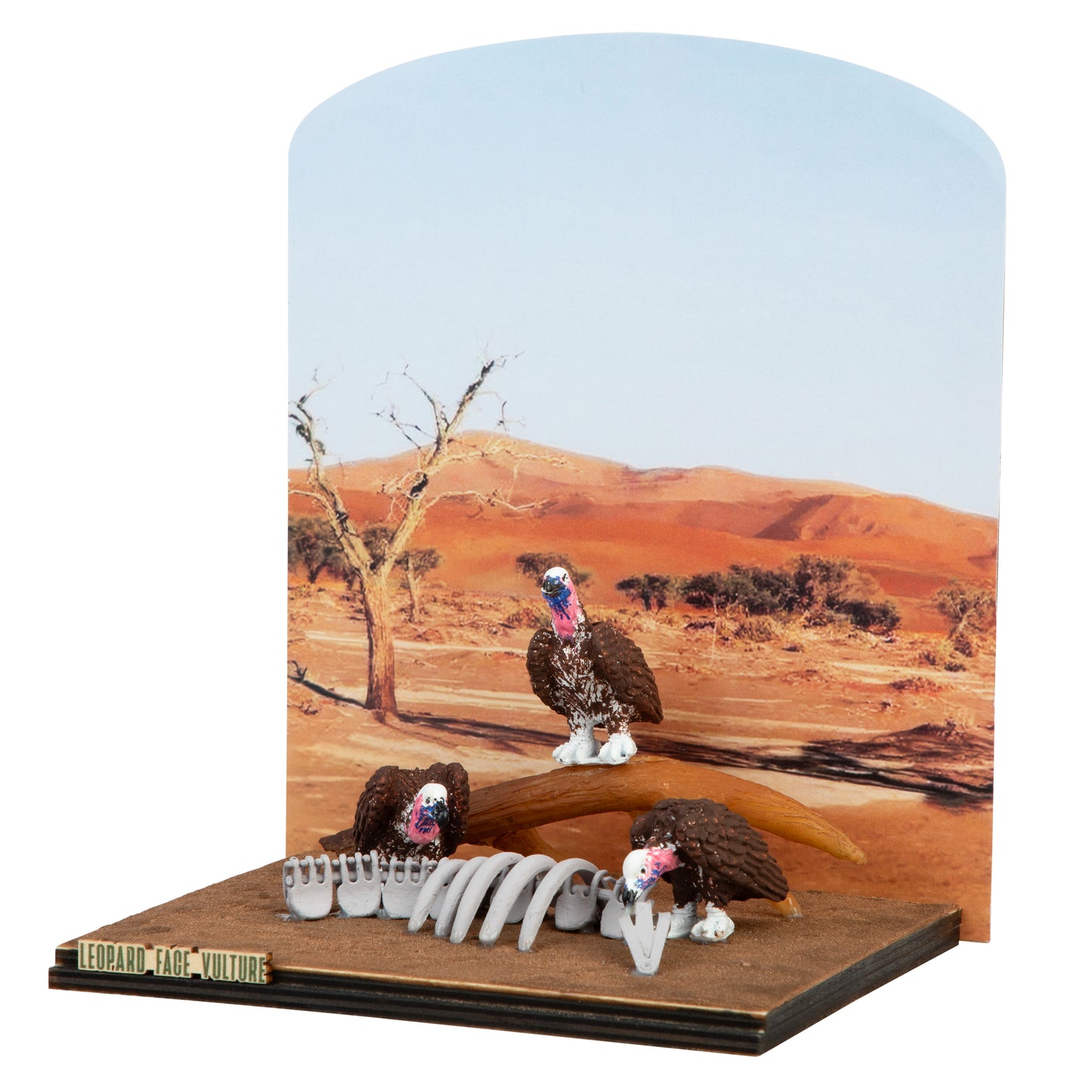 Lappet Faced Vulture