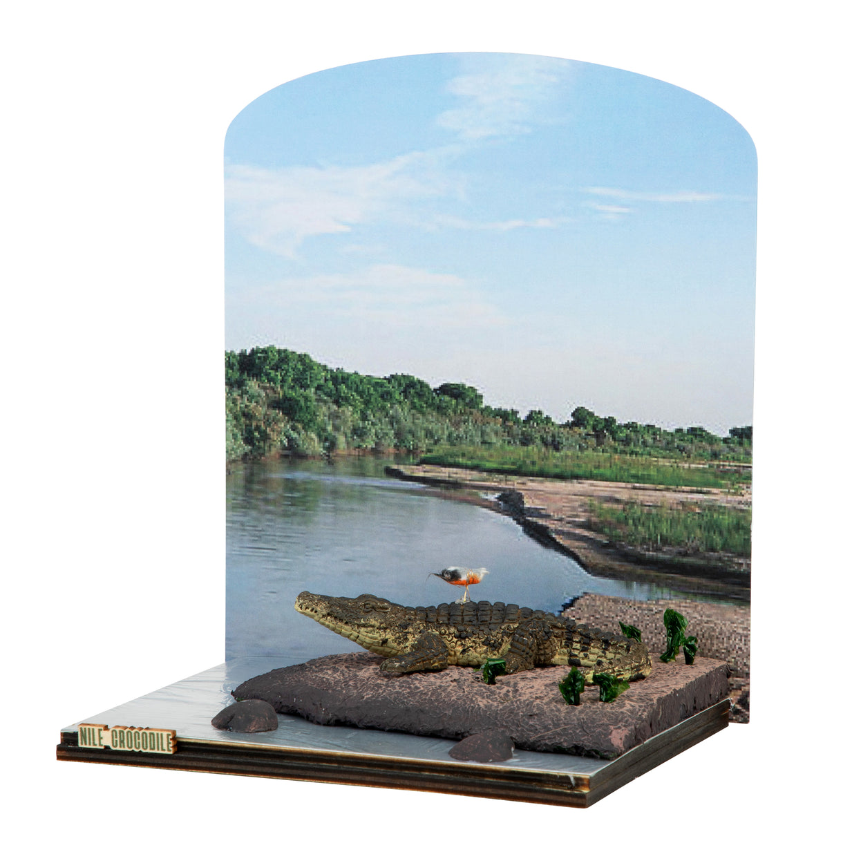 Nile Crocodile