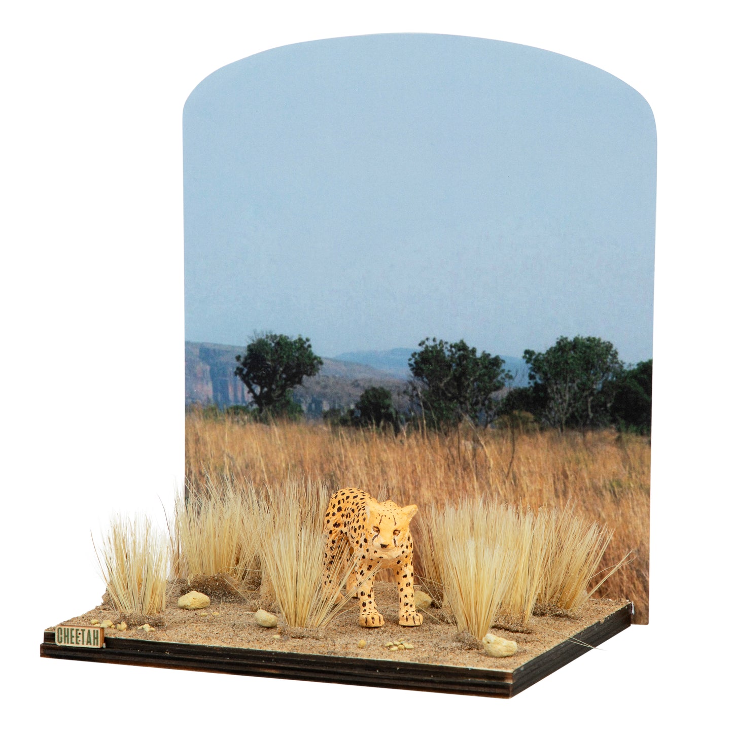 Cheetah