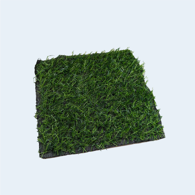 Grass