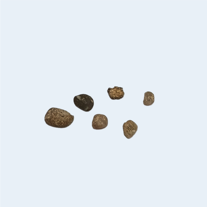 Stones (10)
