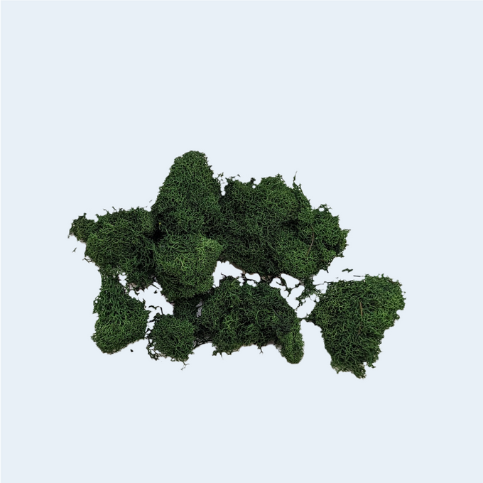 Foliage