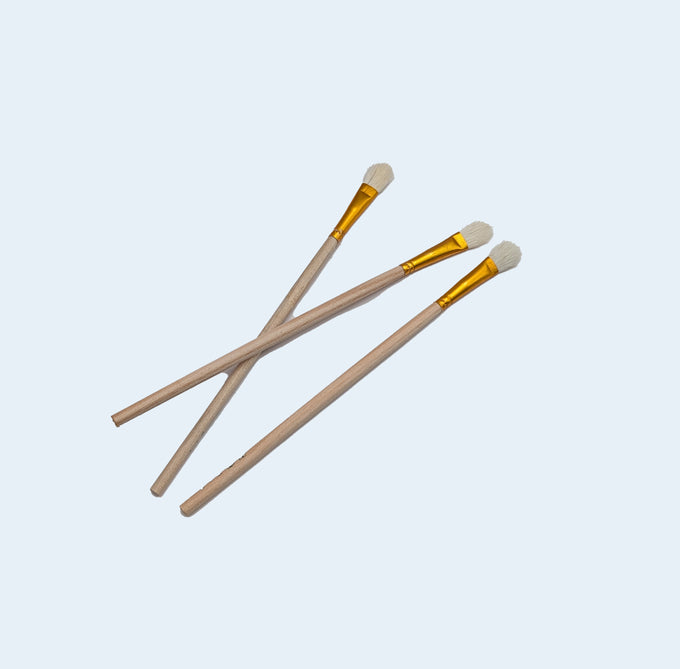 Paintbrushes (5)