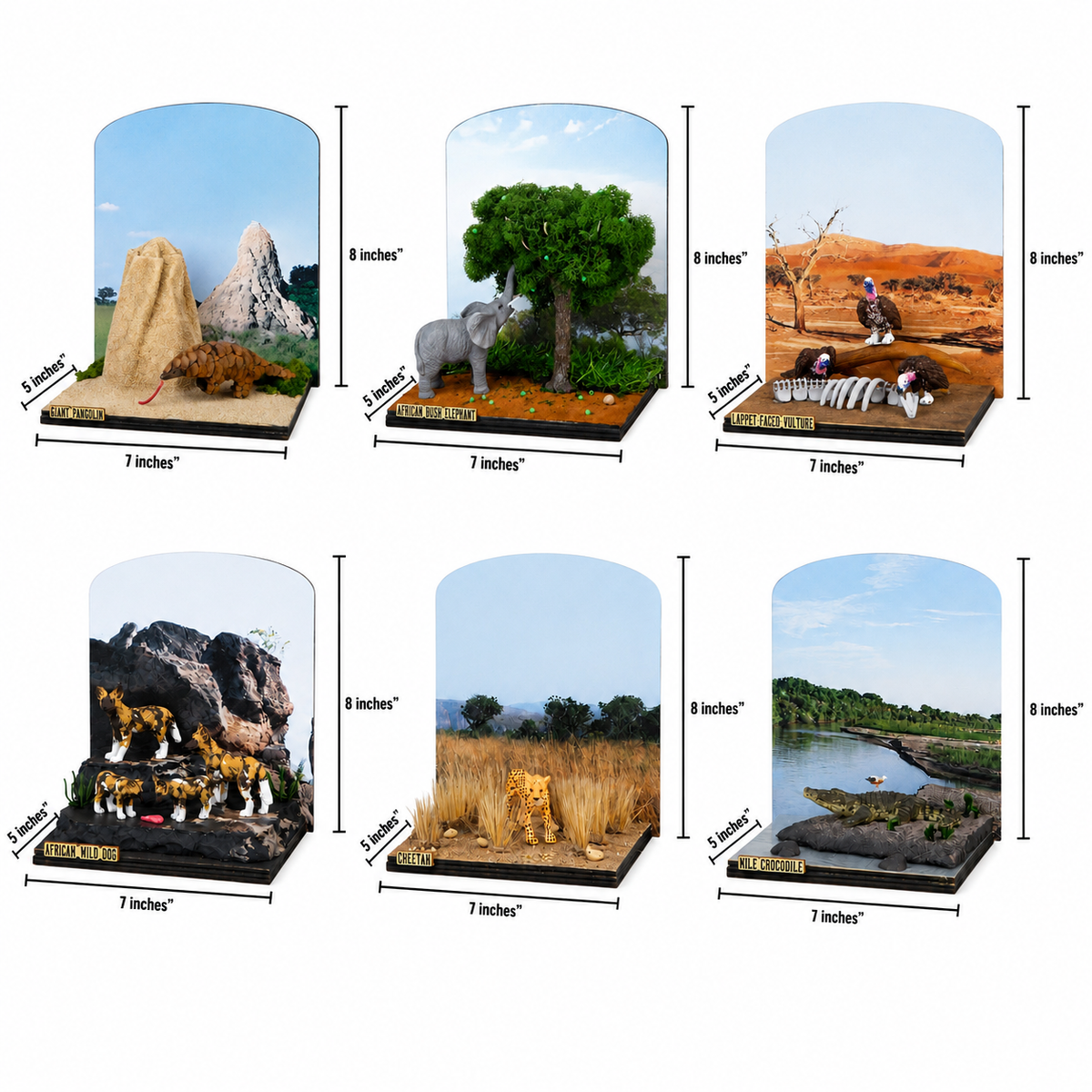 African Safari Complete Collection