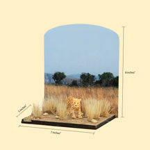 Cheetah