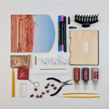 Lappet Faced Vulture