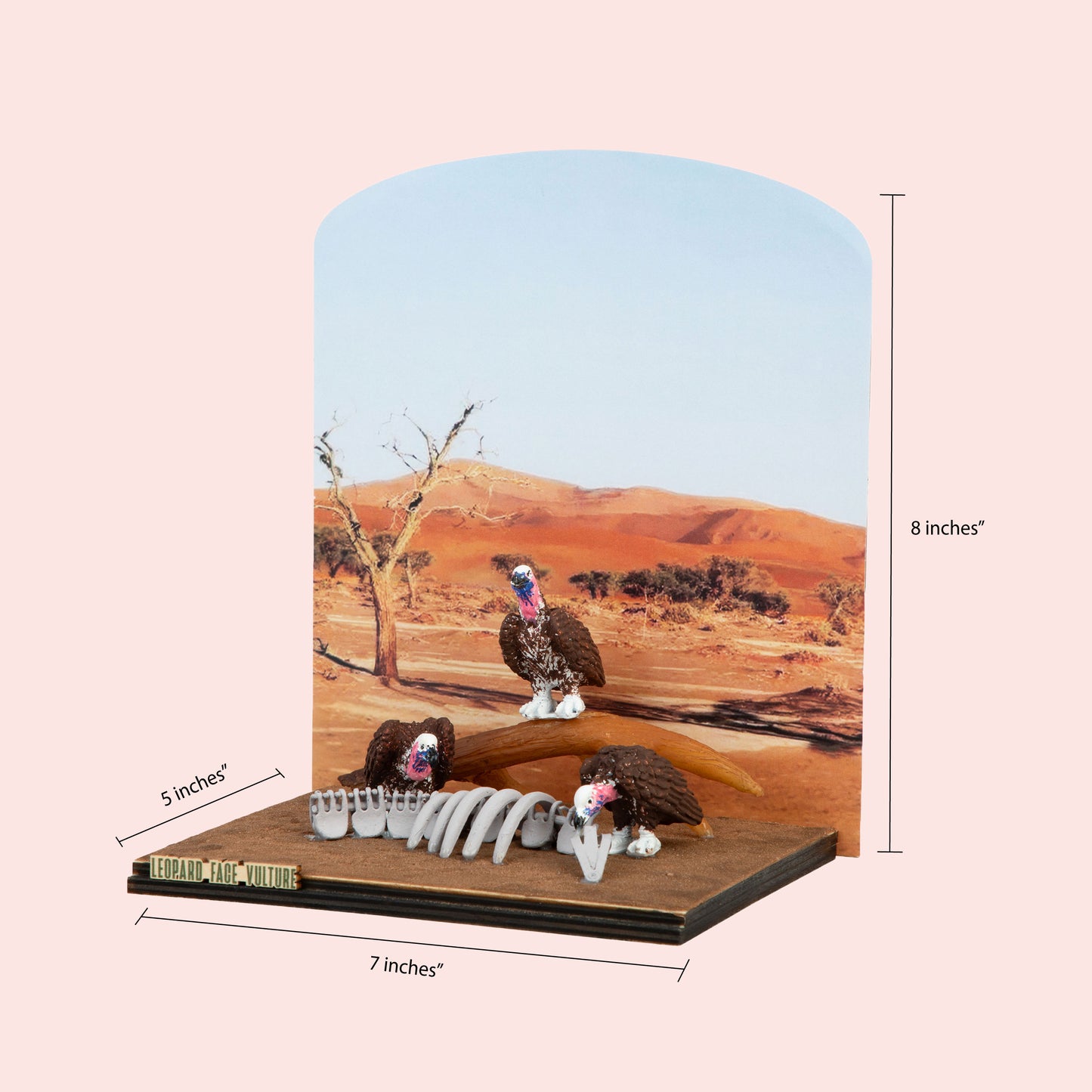 Lappet Faced Vulture